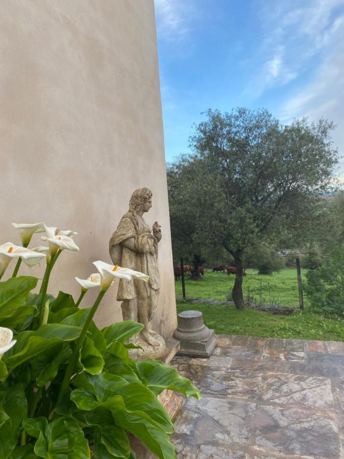 Casa Rural El Vihuelo El Bosque Exterior photo