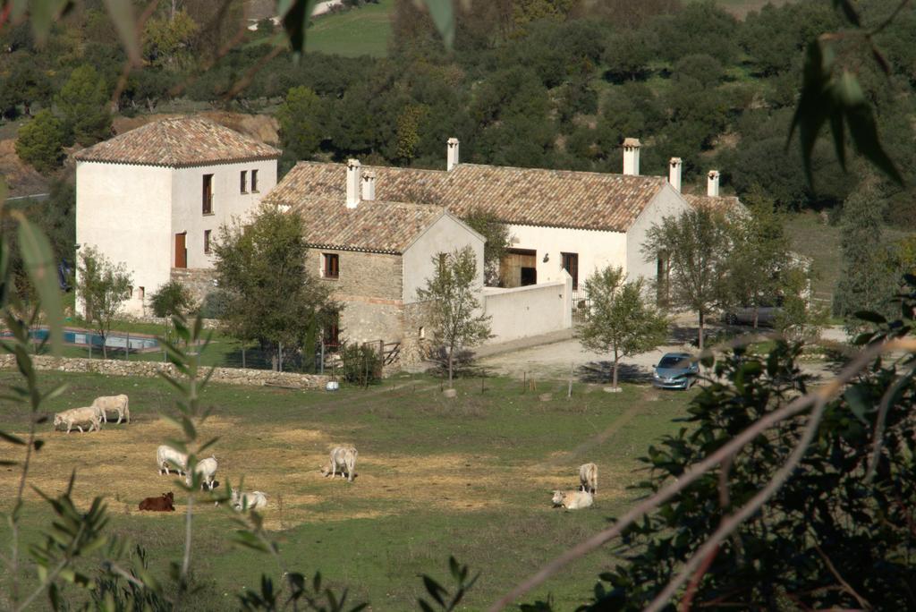 Casa Rural El Vihuelo El Bosque Exterior photo