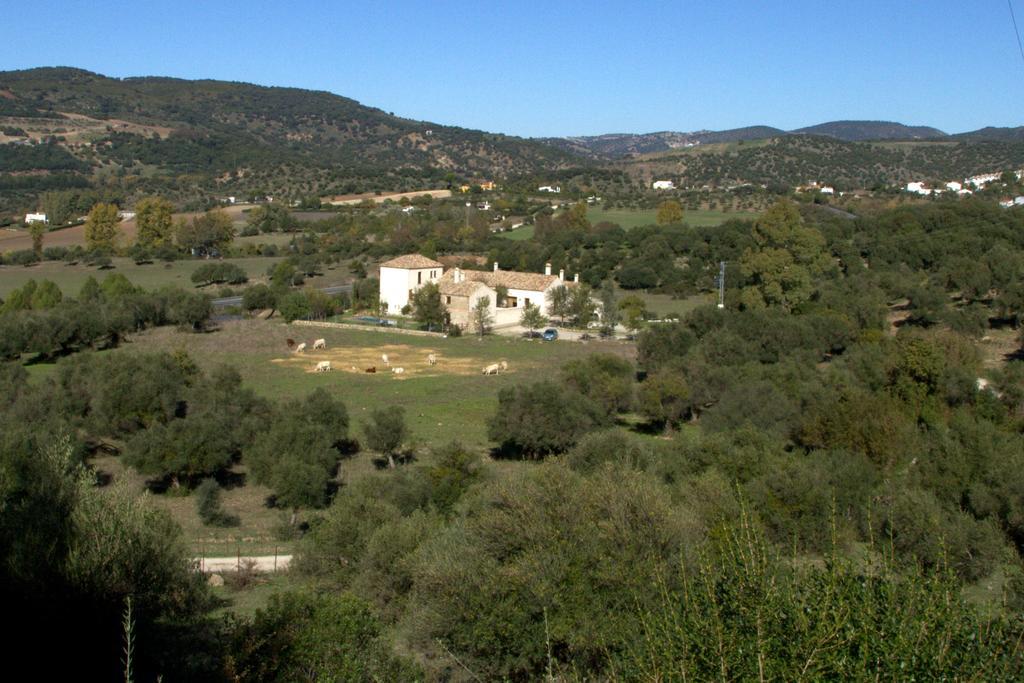 Casa Rural El Vihuelo El Bosque Exterior photo